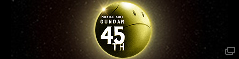 45thホームページへ